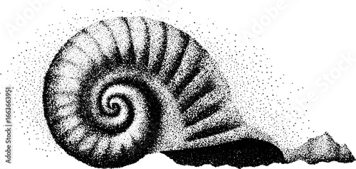 Stipple dotwork illustration of a fibonacci spiral shell - vintage design for art projects