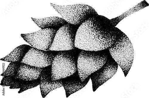 Detailed stippling dotwork illustration of hop cone botanical design for prints