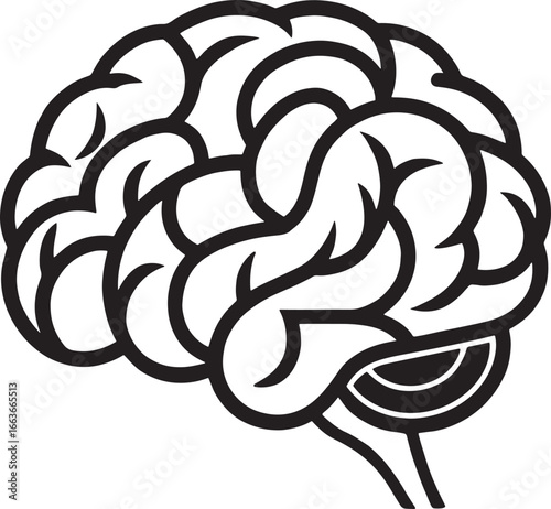 Human Brain Anatomy Illustration