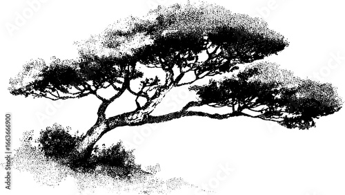 Stippling dotwork illustration of a pine tree for nature inspired designs