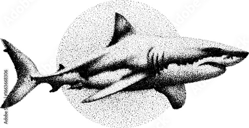 Shark tattoo art with stippling and dotwork design - perfect for posters and skin art