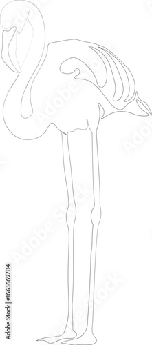 beautiful flamingo drawn with one line
