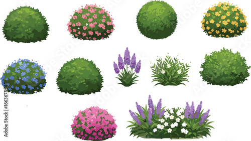 Colorful flowering bushes, decorative garden shrubs vector, floral foliage clipart, spring landscape plants, blooming flower hedge illustration set