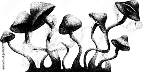 Mushroom illustration in stippling dotwork style