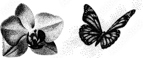 Stippling dotwork illustration of orchid flower and butterfly - intricate tattoo design