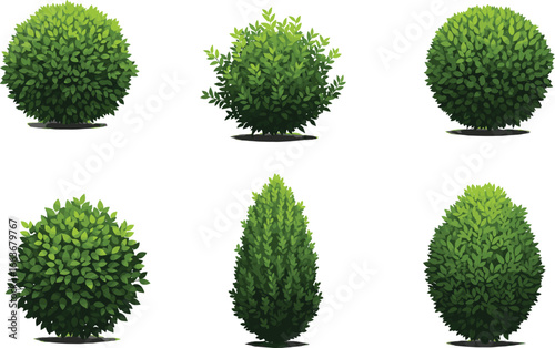 Topiary green bushes set, various trimmed leaf shrubs for landscaping design, isolated cartoon clipart collection for garden decoration.