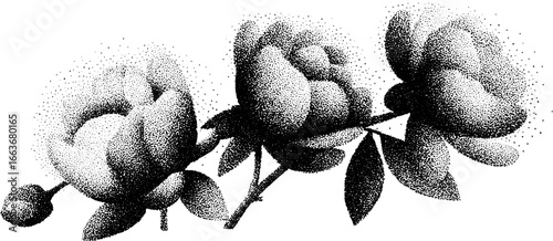 Stippling floral art with dotwork technique featuring spray droplets