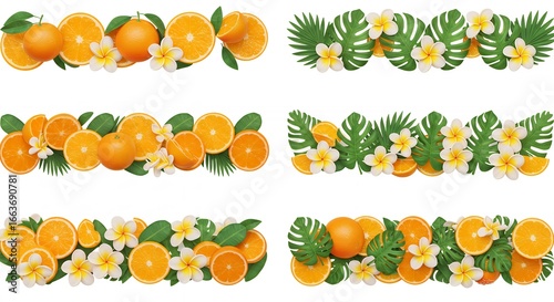 Orange fruit tropical floral borders