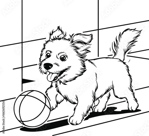 Outline vector of a playful dog fetching a ball, strong thick lines, clean and modern style 4