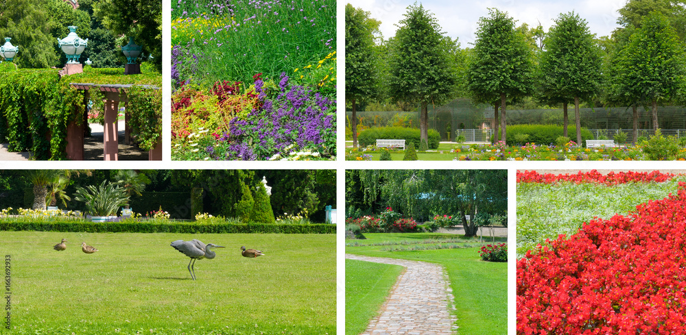 Obraz premium Collection of Beautiful Park Scenes. Wide photo.