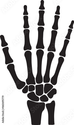 Hand bones silhouette vector illustration, human anatomy and medical design, EPS format ready.