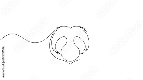 Animation of a single line drawing of a bear's face. Continuous contour movement of a bear's face. Continuous video with one line.