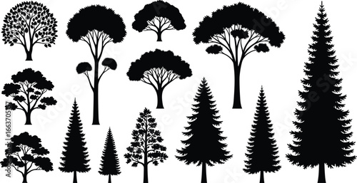 Silhouette tree collection, forest and nature vector set, pine and deciduous tree shapes for landscape, logo, or eco design