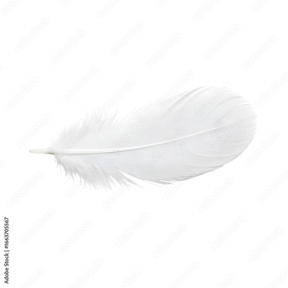 Obraz premium feather isolated on white transparent background