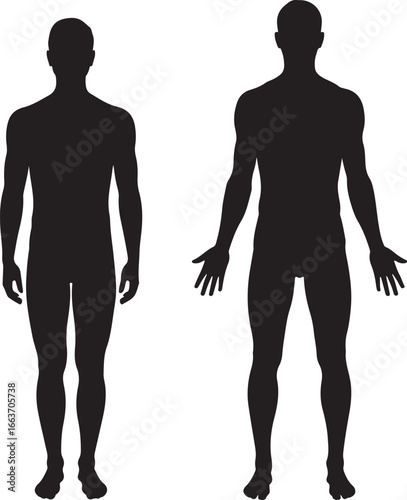 Two full body black silhouettes of adult men standing facing forward and backward against a white background representing anatomy and human form