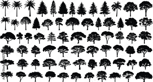 Tree silhouette collection – diverse black tree vector set with palm, pine, oak, and deciduous trees for design or print