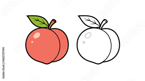 Peach fruit illustration vector isolated transparent PNG, fresh organic peach clipart, juicy sweet fruit drawing with leaf, healthy summer food design, outline coloring page
