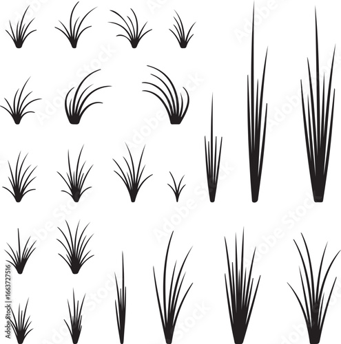Black grass silhouettes blades stalks