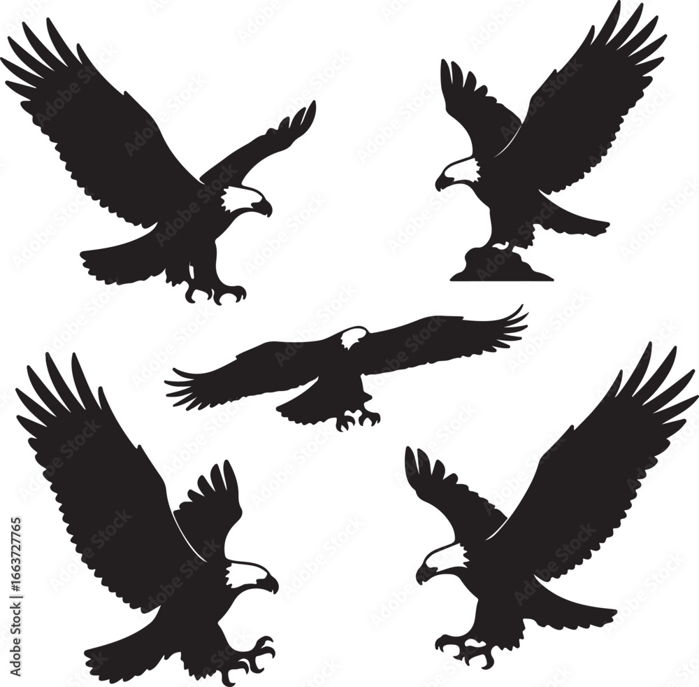 Fototapeta premium Eagles soaring and landing silhouettes bird flying
