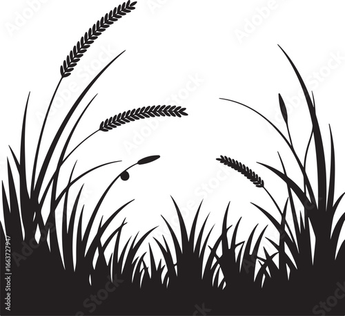 Tall grass and wheat stalks blades plants