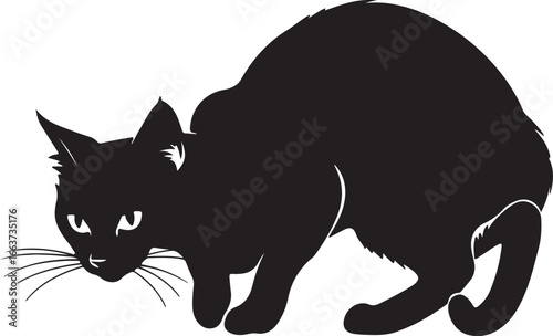 Black cat stalking stealthily silhouette stealthy