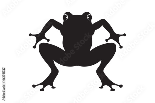 Black silhouette of a frog in a crouching position