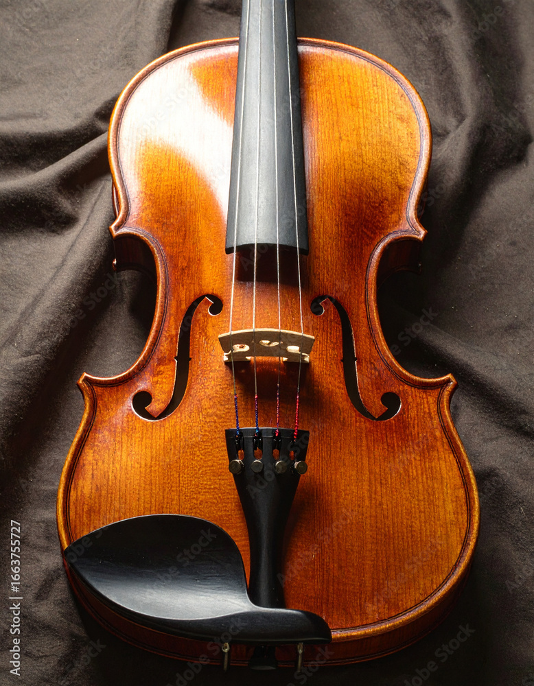 Fototapeta premium violin on black background