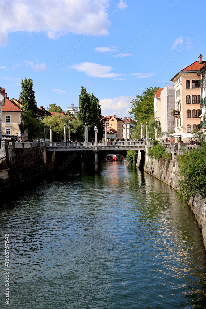 Obraz premium Häuser am Ufer der Ljubljanica in Ljubliana