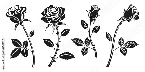 Black Silhouette Roses with Thorns and Leaves