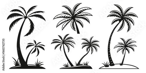 Collection of Black Silhouette Palm Trees