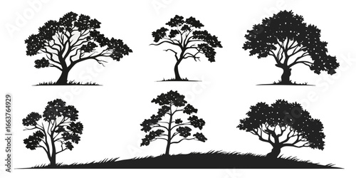 Collection of Stylized Black Tree Silhouettes on White Background