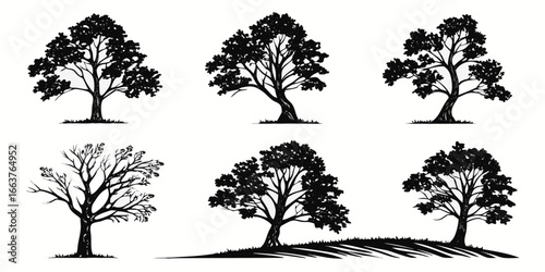 Collection of Stylized Black Tree Silhouettes