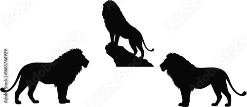 Lion silhouette illustration, majestic lions vector, wild animal art, savanna wildlife graphic, big cat drawing, lion on rock, predator silhouette image, bold wildlife artwork