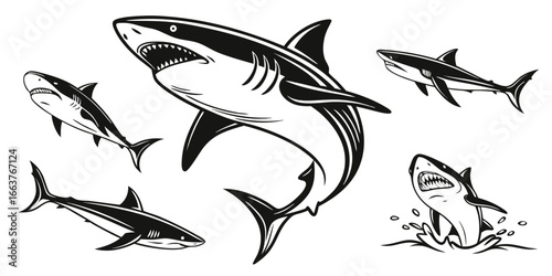 Fierce Sharks in Dynamic Poses
