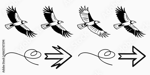 Four Flying Eagles and Directional Arrows