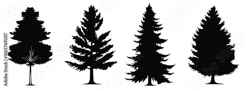Tree Silhouettes: A collection of detailed tree silhouettes, perfect for illustrating a variety of arboreal forms for design.