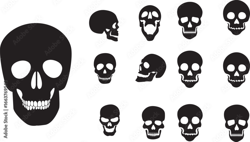 Fototapeta premium set of skulls vector illustration