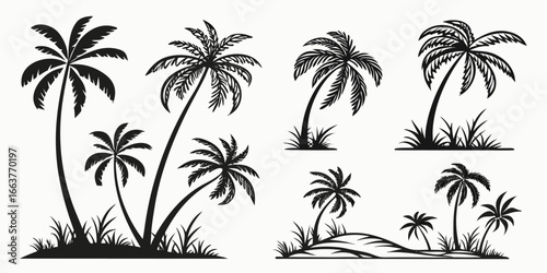 Silhouette Palm Trees Tropical Island Landscape