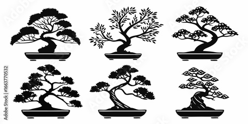Six Stylized Black Bonsai Trees in Pots