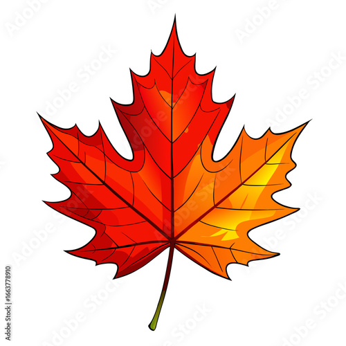 Autumn Maple Leaf PNG Illustration