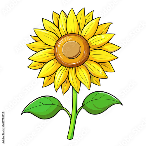 sunflower vector illustration