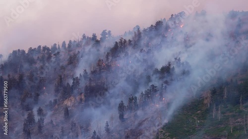 Wildfire burning on the mountain in Provo, Utah in Buckley Draw.