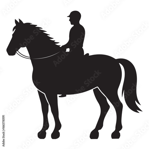 Black silhouette of a person riding a horse with a flowing mane rider white