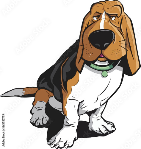 Basset Hound, a distinctive breed of dog known for its short legs, long droopy ears, and mournful expression. 