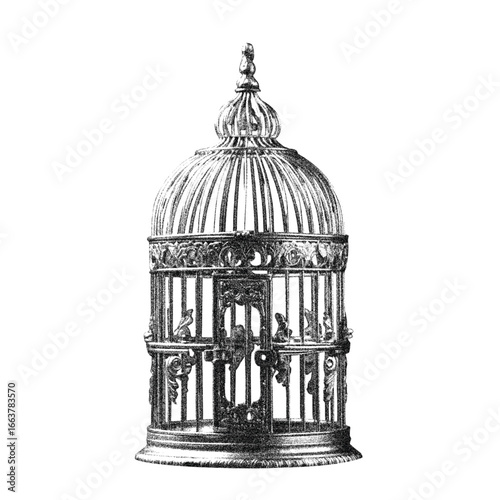 vintage birdcage retro photocopy collection . stipple effect grain .