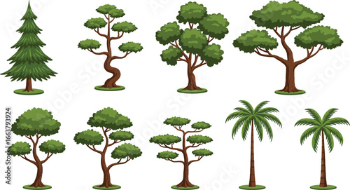 Various types of trees, different shapes and sizes, pine, bonsai, palm, tropical trees, nature illustration, green foliage, isolated objects, gardening, environment, 