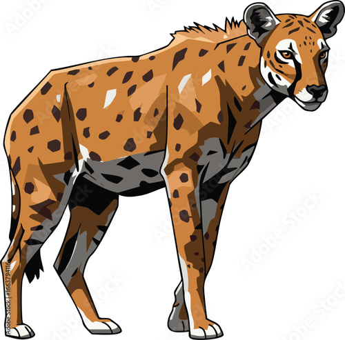 Wild cougar standing alert with spotted fur pattern detailed vector illustration for wildlife design and nature themes 