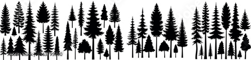 Set of pine trees silhouette. Hand drawn silhouette of fir tree. Large collection of Christmas tree silhouette. Vector illustration