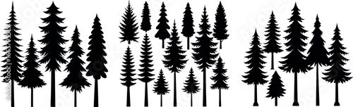 Set of pine trees silhouette. Hand drawn silhouette of fir tree. Large collection of Christmas tree silhouette. Vector illustration