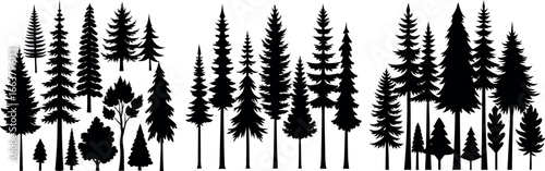 Majestic forest silhouette diverse trees nature scene